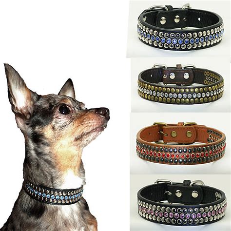 Shop at <b>PetSmart</b> online or in-store to get amazing deals today!. . Petsmart dog collar